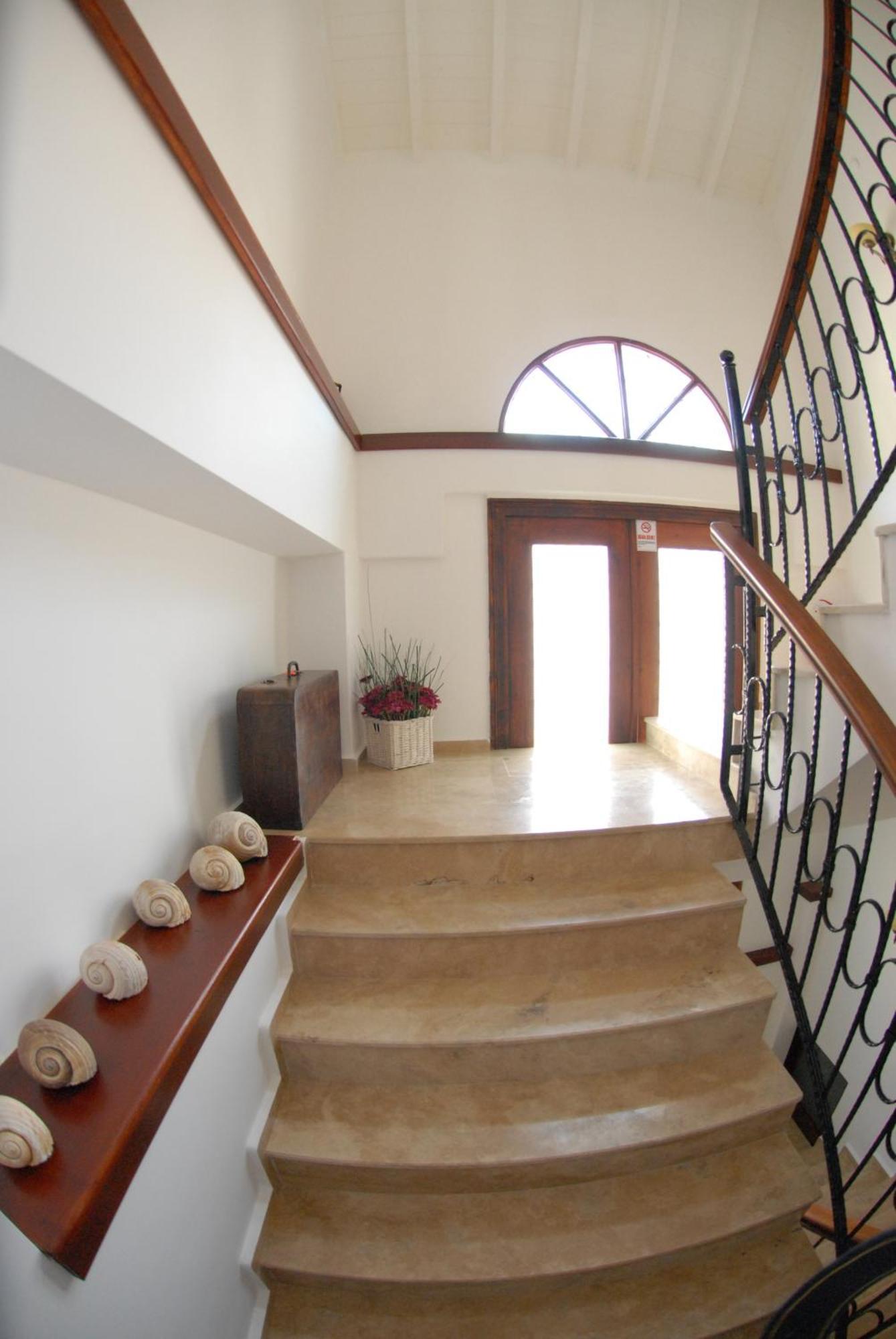 Aliye Hanim Hotel Ayvalı 외부 사진