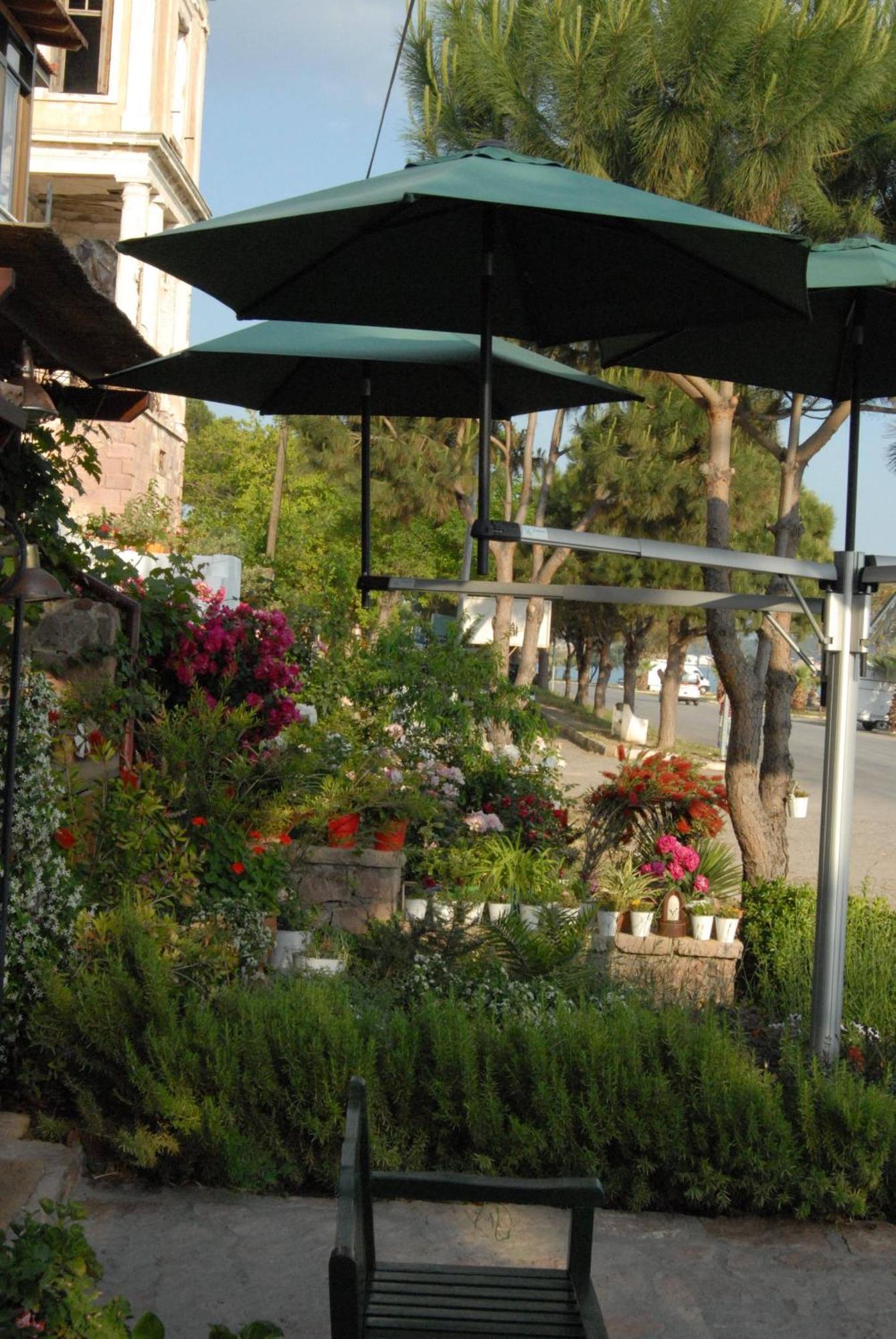 Aliye Hanim Hotel Ayvalı 외부 사진